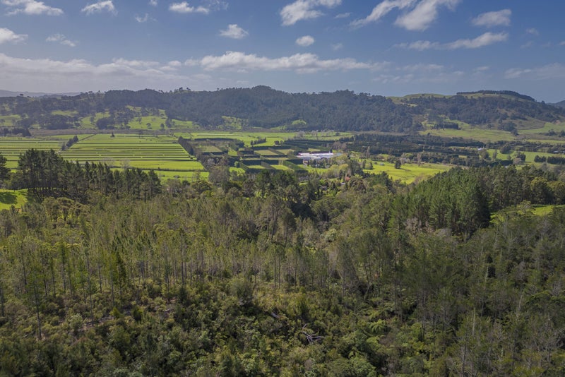 1409 Tairua Whitianga Road, Whenuakite, Whitianga - Carousel 24