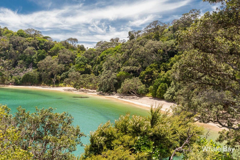 0 Matapouri Road, Matapouri, Whangarei - Carousel 16