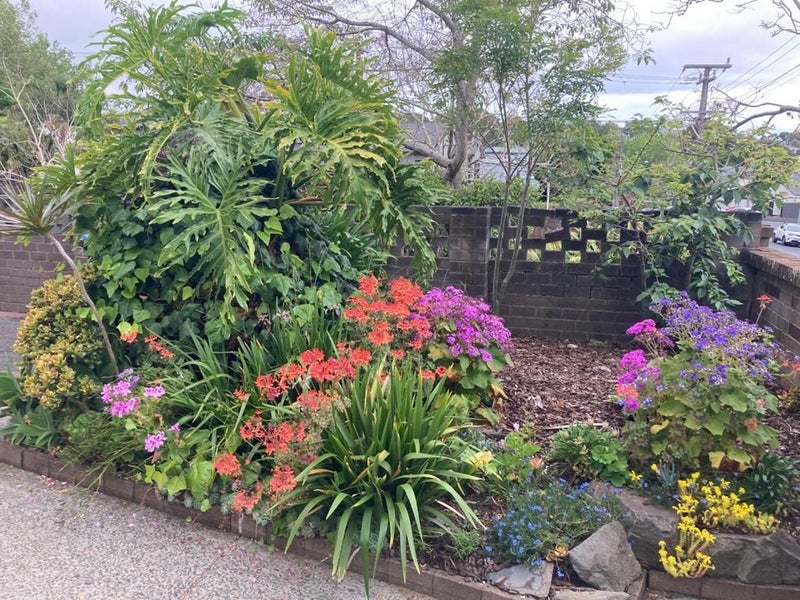 4/32 Lochiel Road, Remuera, Auckland - Carousel 20