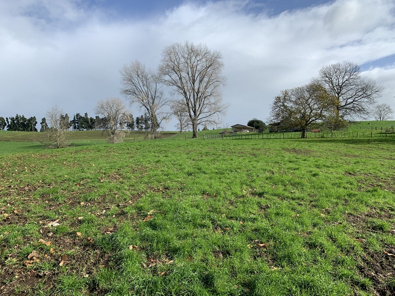 352 Otorohanga Road, Tokanui, Te Awamutu - Carousel 4