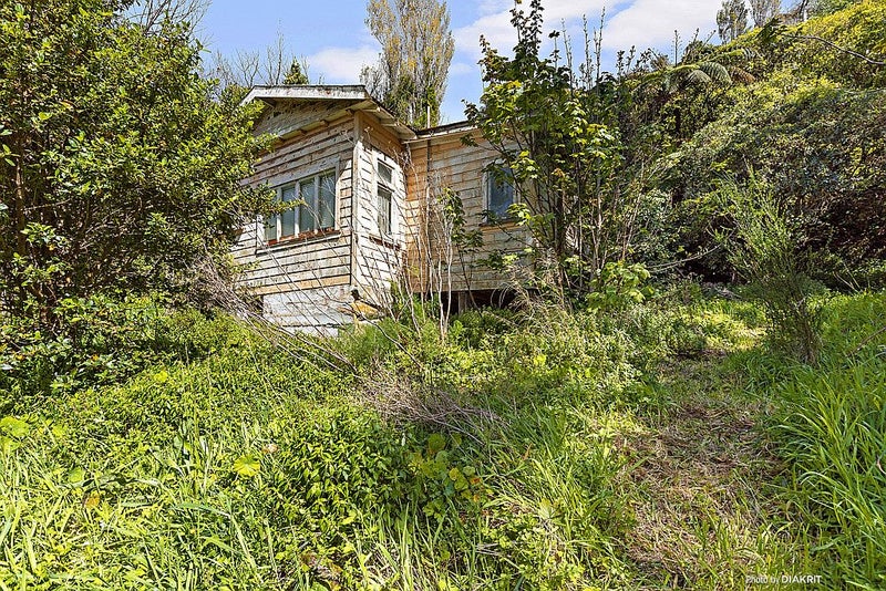 24A Balfour Street, Mornington, Wellington - Carousel 2