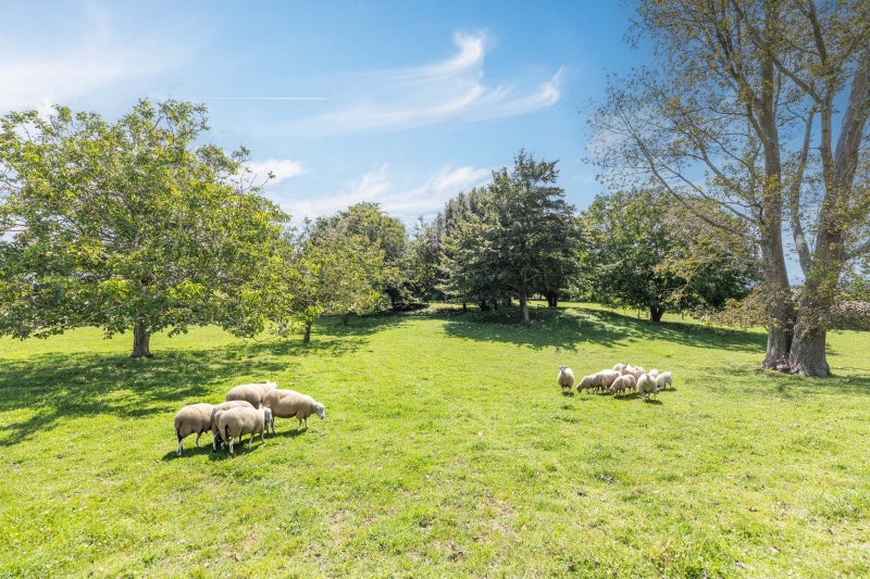 15 Pinedale Road, Putaruru - Carousel 2