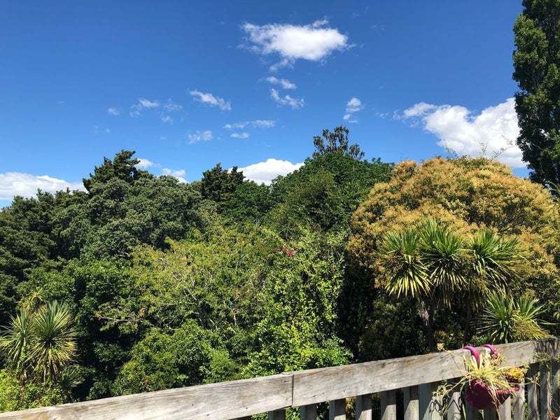 16 Minerva Terrace, Cockle Bay, Auckland - Carousel 14