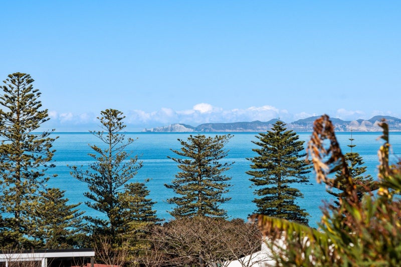 16 Brewster Street, Bluff Hill, Napier - Carousel 2