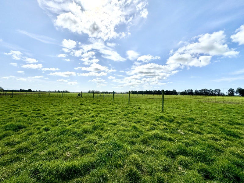 104 Acacia Drive, Levels, Timaru - Carousel 9