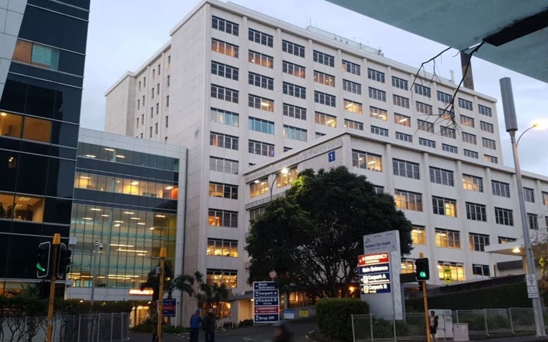 8F Glasgow Terrace, Grafton, Auckland - Carousel 15