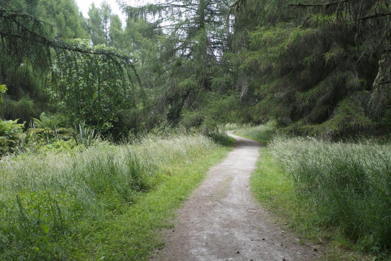 81 Lisland Drive, Kinloch, Taupō - Carousel 23