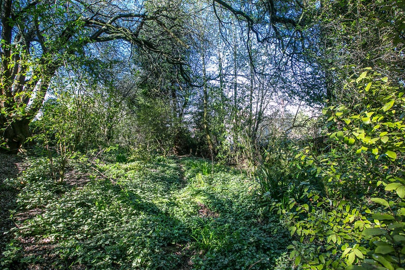 33 Havelock Street, Mornington, Wellington - Carousel 12