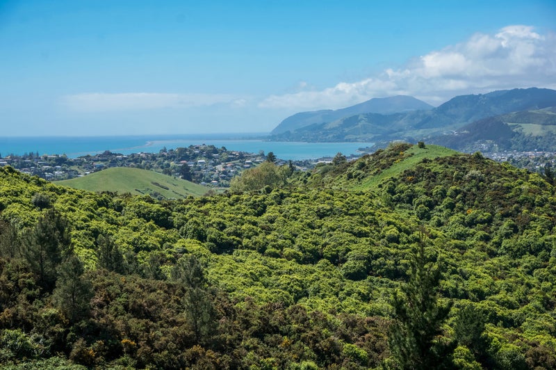 9 Istana Place, Britannia Heights, Nelson - Carousel 9