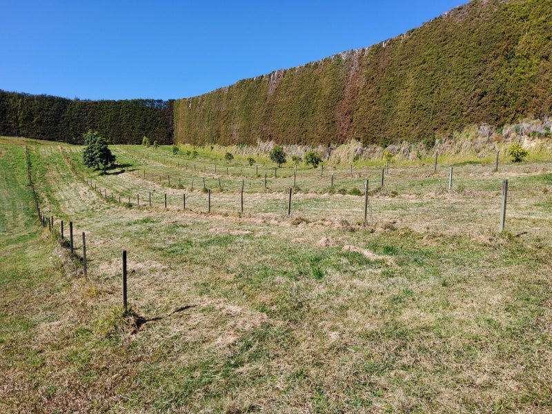 328 Maungarangi Road, Te Puke - Carousel 18