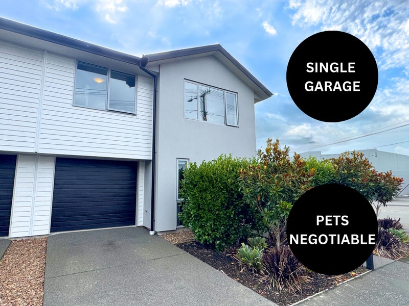 71 Essex Street, Phillipstown, Christchurch - Carousel 1
