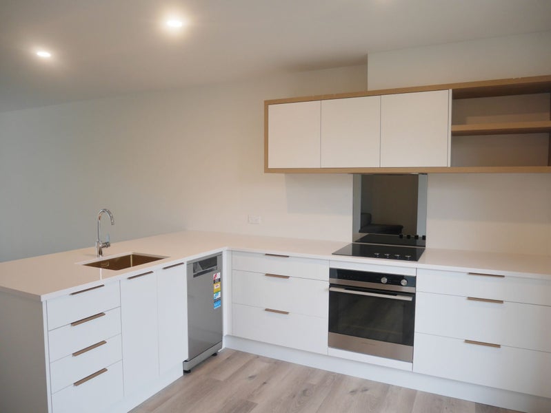 4/35 Percy Street, Phillipstown, Christchurch - Carousel 2