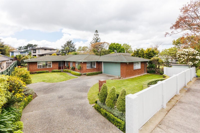 453 Ruahine Street, Terrace End, Palmerston North - Carousel 1