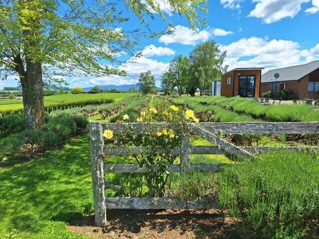 169 Brotherhood Road, Kihikihi, Te Awamutu - Carousel 1