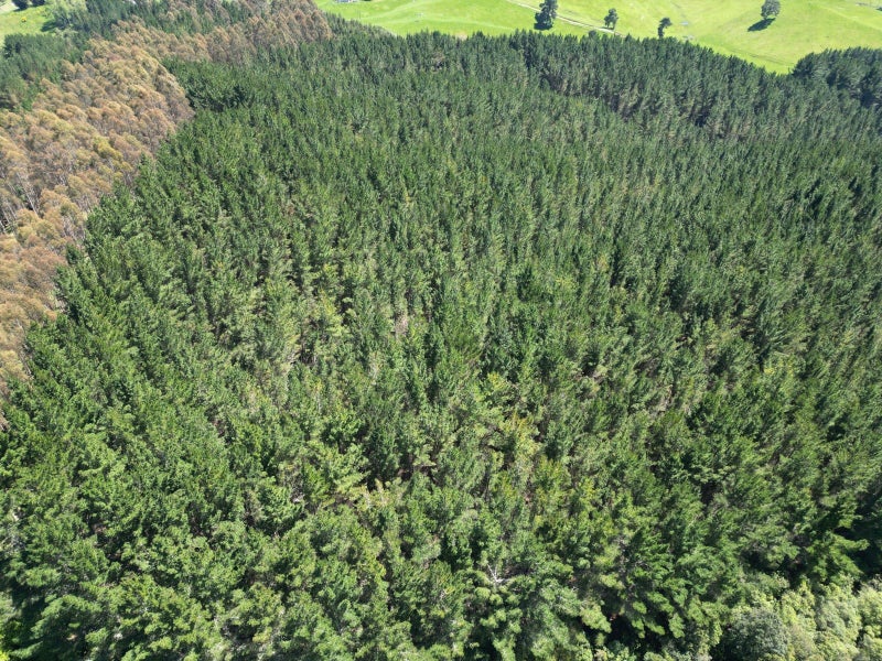 1401 Whangamata Road, Marotiri - Carousel 2