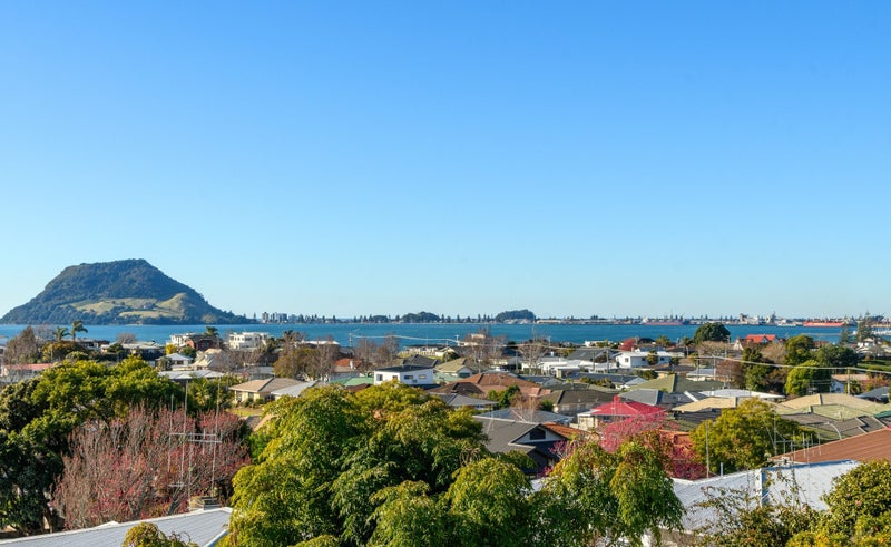 23 Lemon Grove Avenue, Otumoetai, Tauranga - Carousel 2