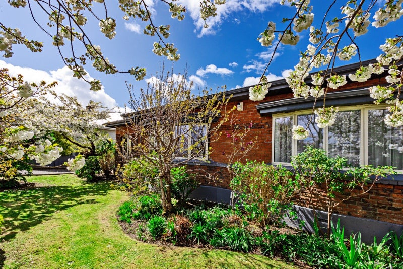 58 Wellington Street, Georgetown, Invercargill - Carousel 39