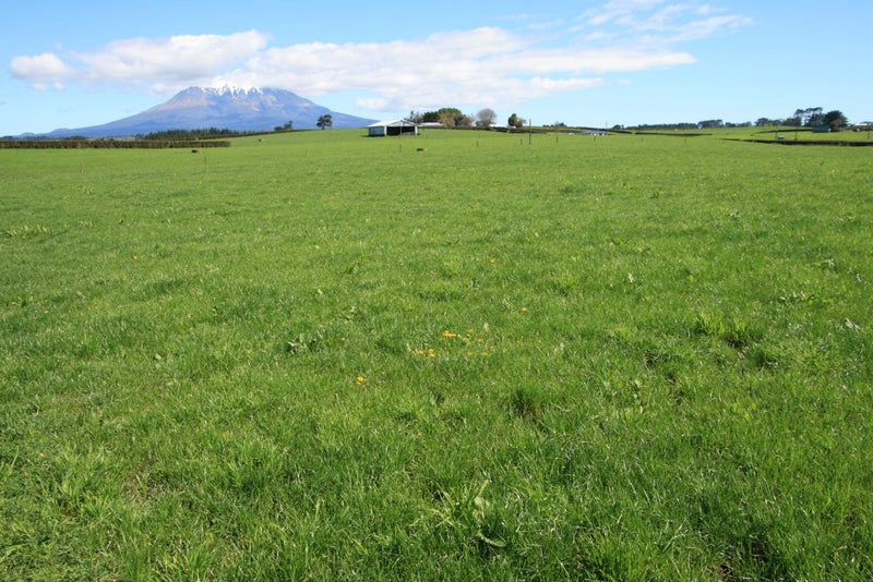 93A Climie Road, Ngaere, Stratford - Carousel 19