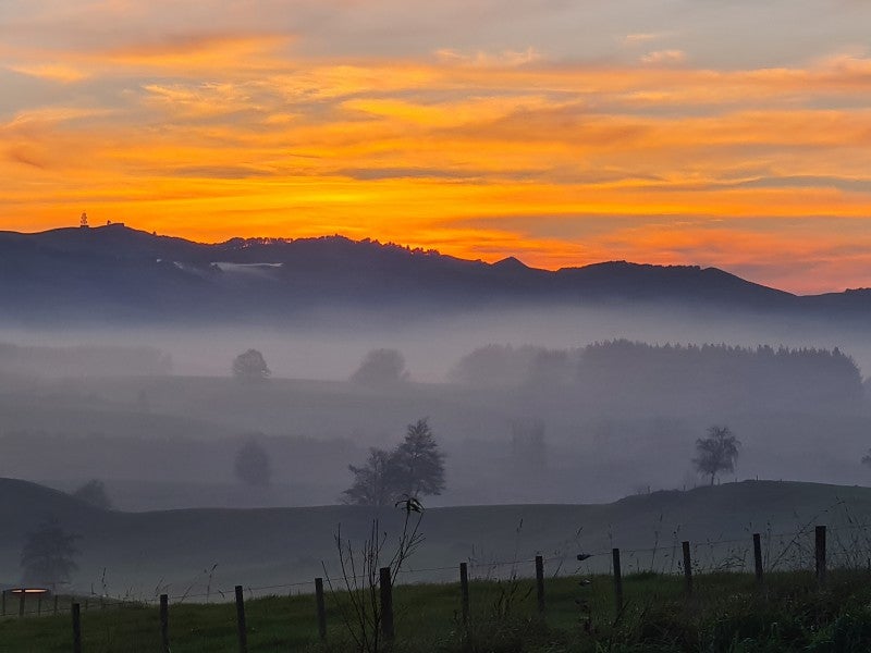 82 Hicks Road, Maungatautari - Carousel 1