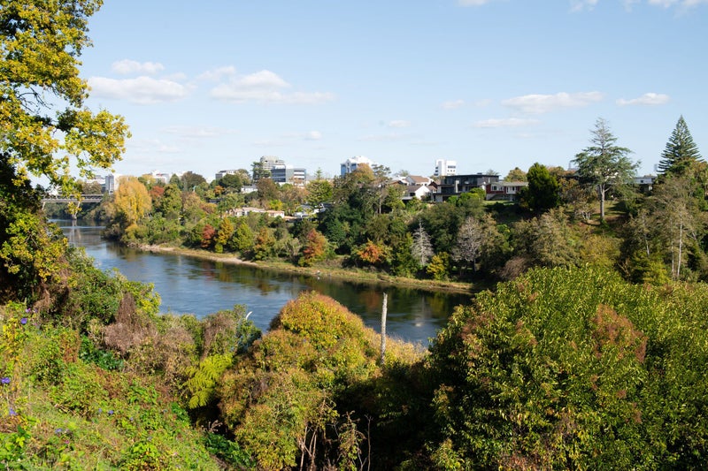 376 River Road, Claudelands, Hamilton - Carousel 2