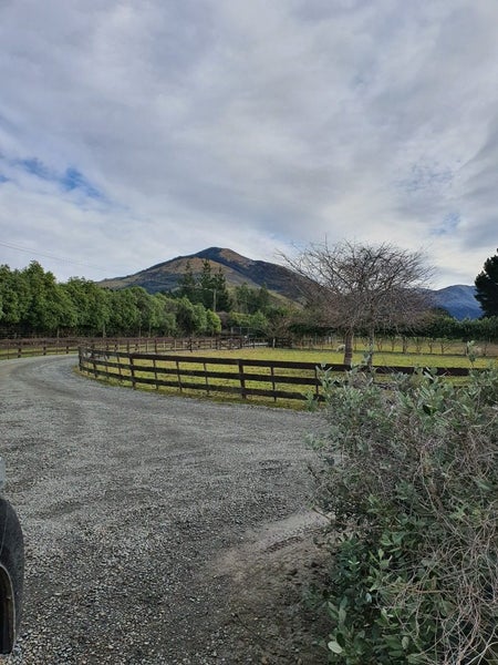 1199 Ashley Gorge Road, Glentui, Oxford - Carousel 14