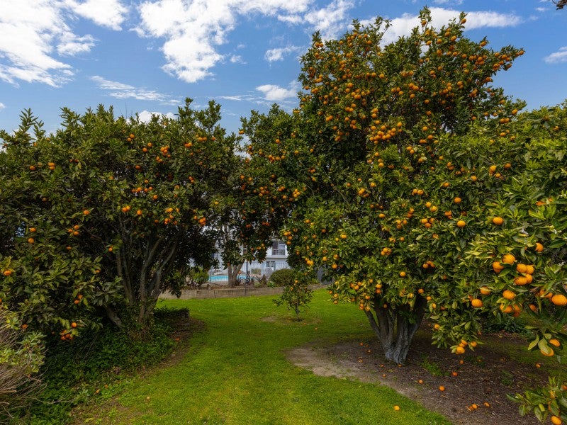 51 Blicks Road, Renwick - Carousel 20