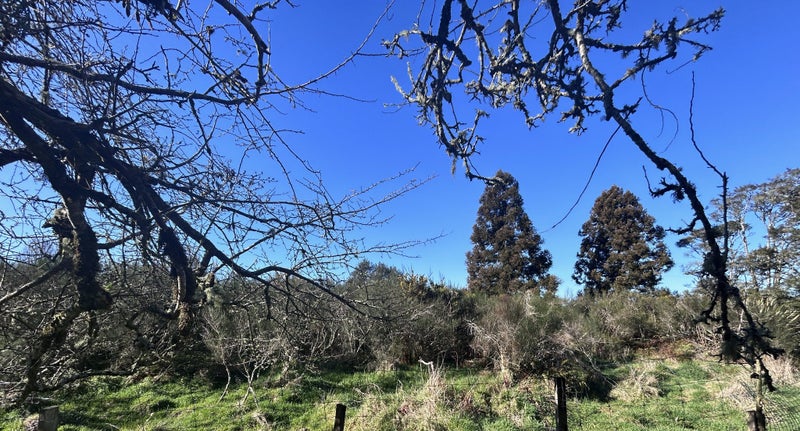 108 Main Road, Blackball, Greymouth - Carousel 19