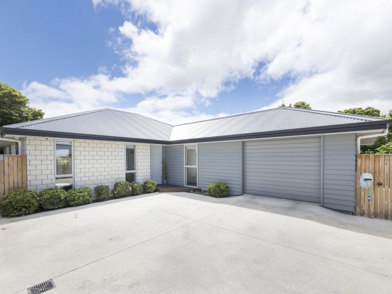 31A Manson Street, Terrace End, Palmerston North - Carousel 23