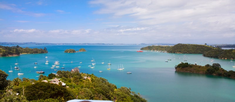 41 Albert Crescent, Ostend, Waiheke Island - Carousel 1