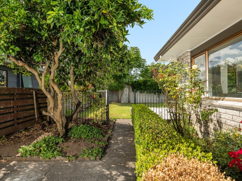84B Fraser Street, Tauranga South, Tauranga - Carousel 1
