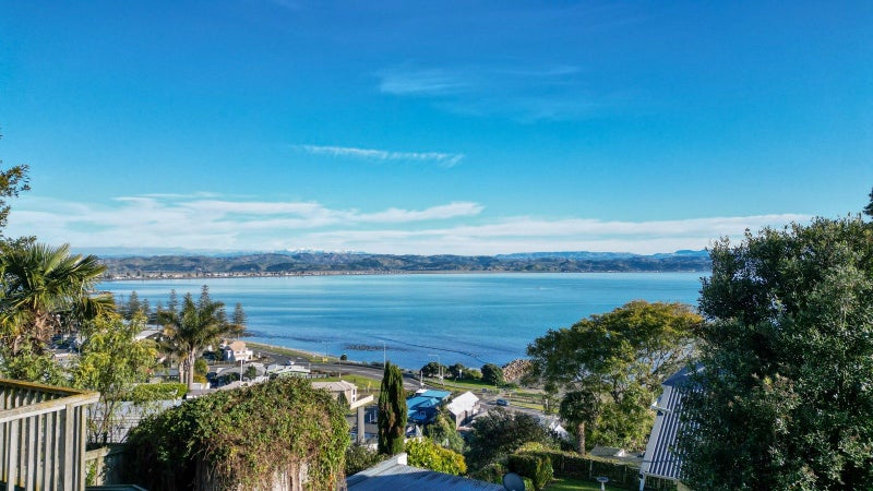 33A Seapoint Road, Bluff Hill, Napier - Carousel 16