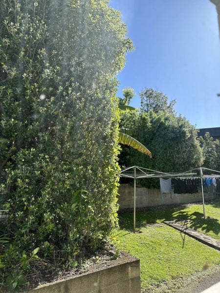 42A Don Croot Street, Morningside, Auckland - Carousel 5