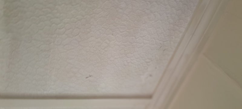 145 Brougham Street, Mount Victoria, Wellington - Carousel 15