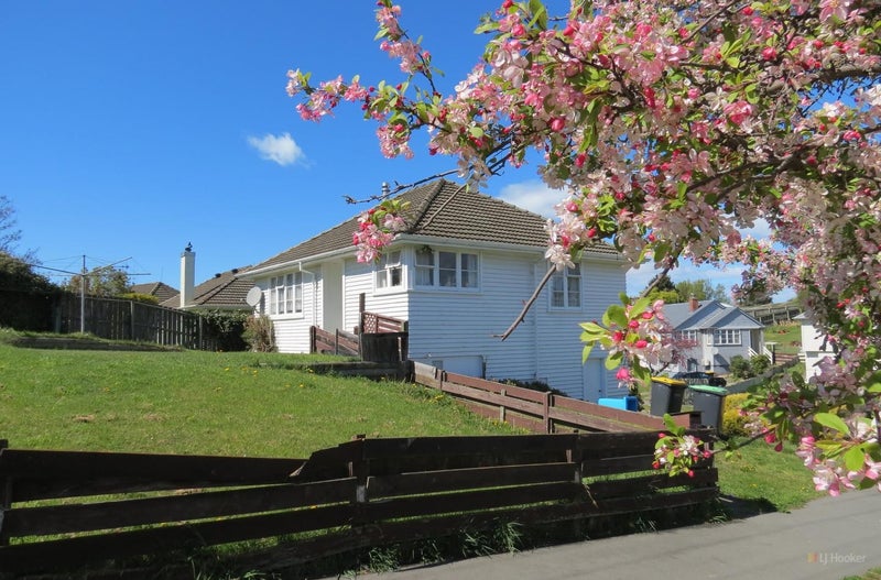 85 Andrew Street, Marchwiel, Timaru - Carousel 1