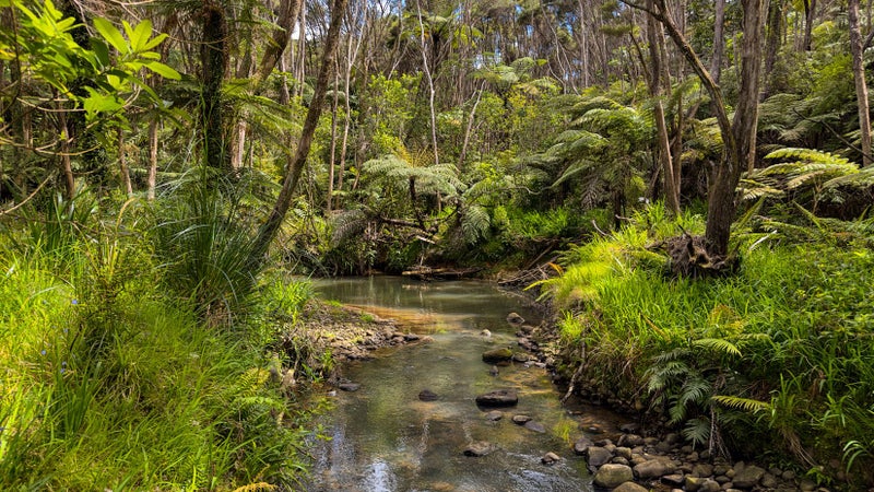 19 Mountain View Road, Morningside, Auckland - Carousel 45