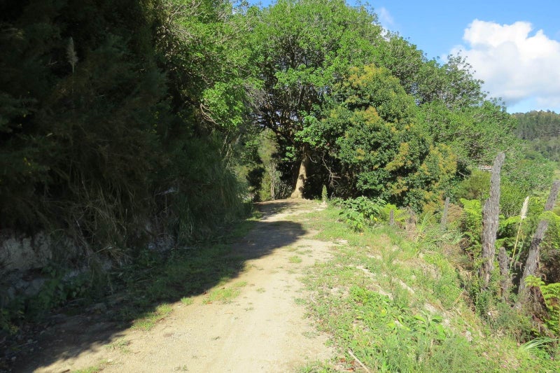 0 Horeke Road, Horeke, Okaihau - Carousel 2