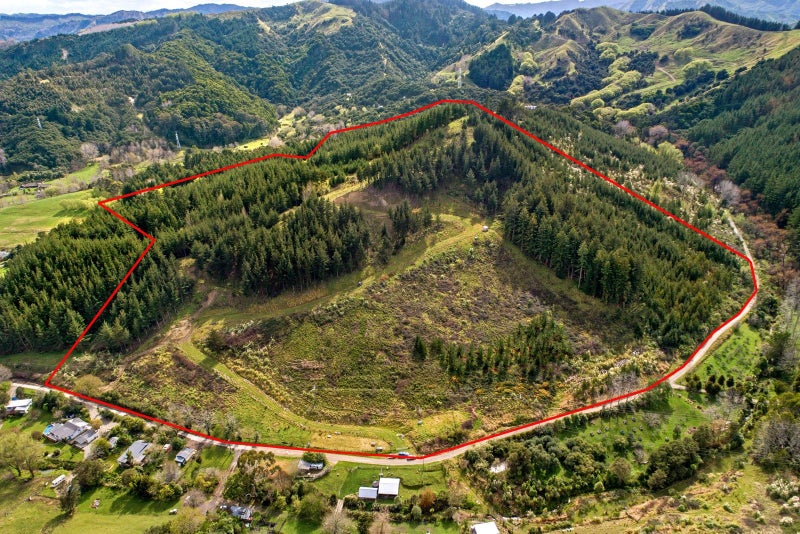 0 Shelley Road, Whataupoko, Gisborne - Carousel 13