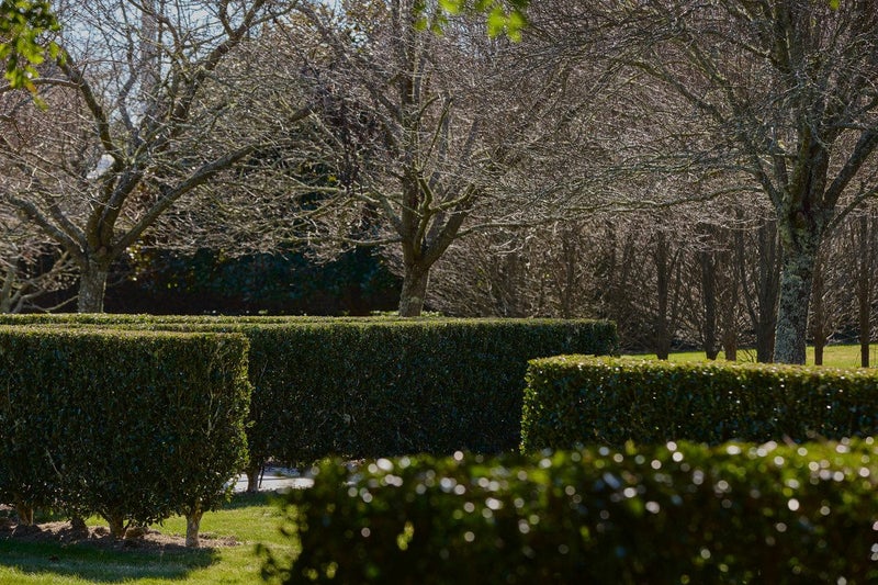 42 Clarke Road, Te Puna, Tauranga - Carousel 2