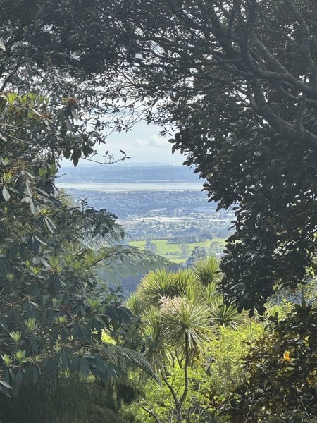 905 West Coast Road, Waiatarua, Auckland - Carousel 10