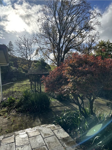 725 Highway 22, Tuakau - Carousel 16