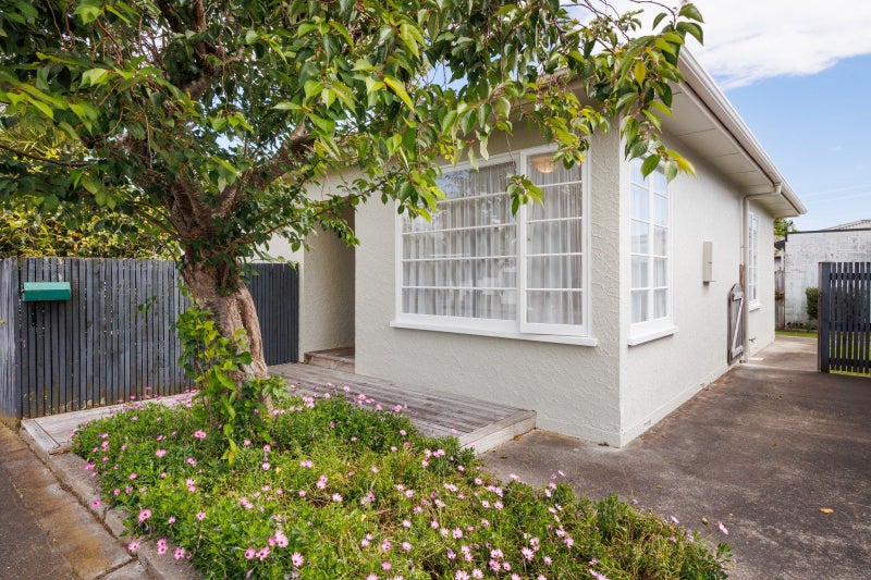 42A Pitama Road, Awapuni, Palmerston North - Carousel 14