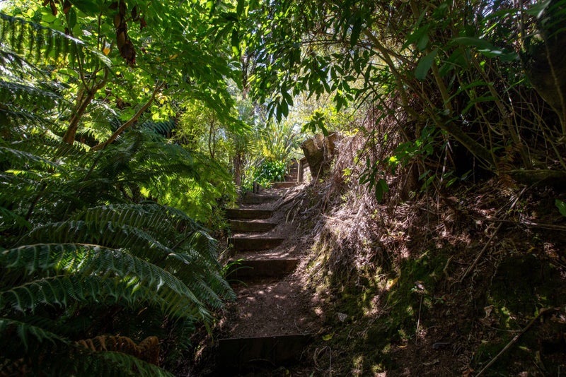 20 Gillam Crescent, Springfield, Rotorua - Carousel 32