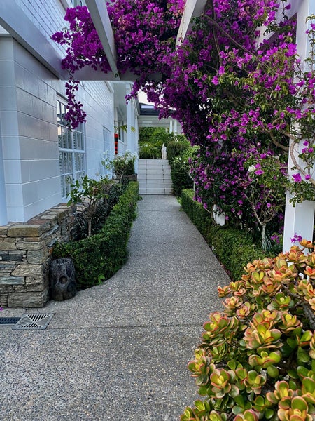 10 Page Point, Mellons Bay, Auckland - Carousel 50