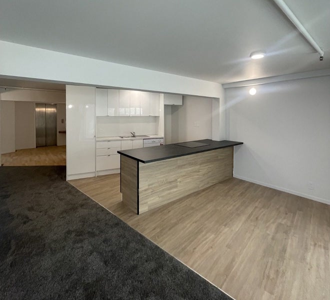 6F Halleys Lane, Te Aro, Wellington - Carousel 1