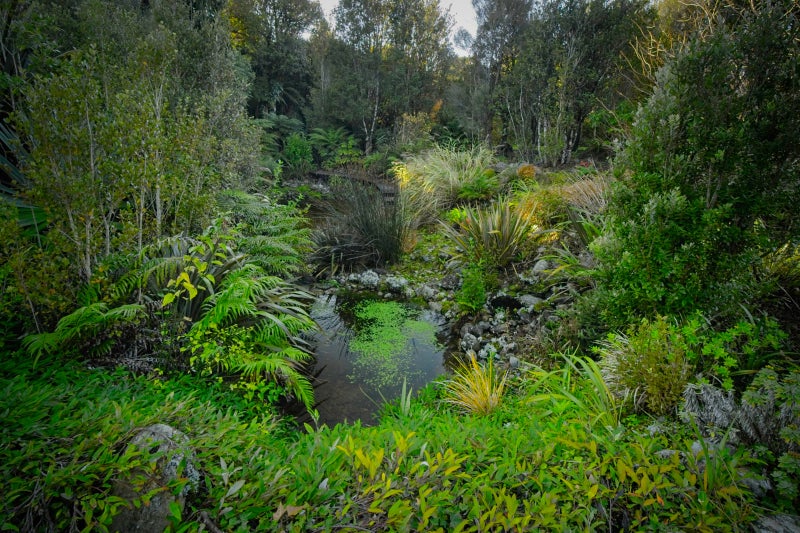 114 Brickfield Road, Blue Spur, Hokitika - Carousel 33