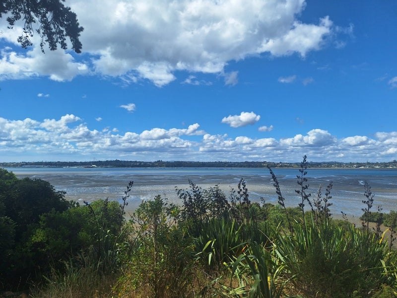 44 Taniwha Street, Wai o Taiki Bay, Auckland - Carousel 16