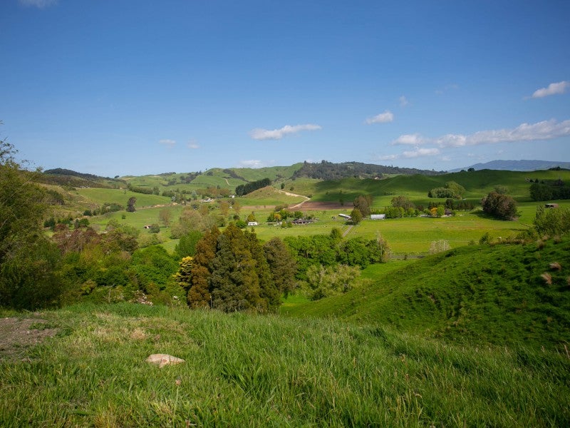 0 , Tauwhare - Carousel 6