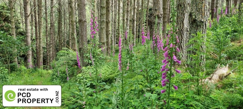 75 Parakiore Road, Ngararatunua, Kamo - Carousel 2