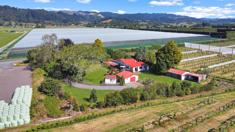 568 Western Drain Road, Edgecumbe, Whakatane - Carousel 1