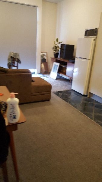 2E/6 Burgoyne Street, Grey Lynn, Auckland - Carousel 2